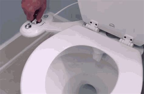 bidet gif